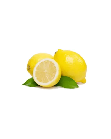 Limoni Foglia