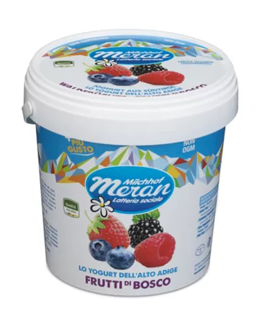 Yogurt Frutti Di Bosco Merano Kg 1