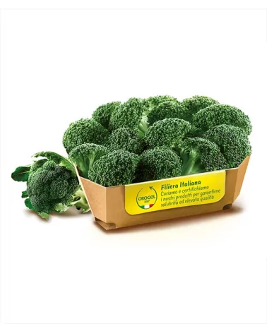 Broccoli Rosette 100%ita Orogel Kg 2