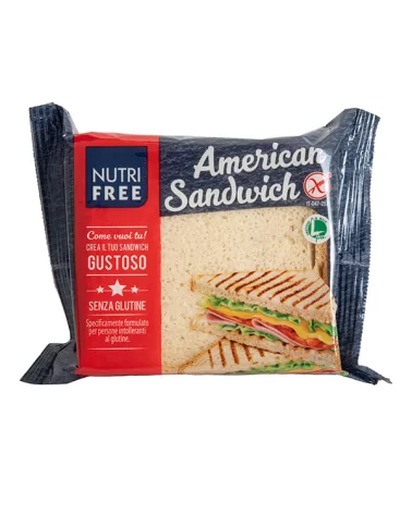 Pane American Sandwich Senza Glutine Gr 240