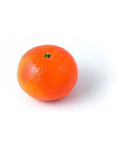 Clementine Extra