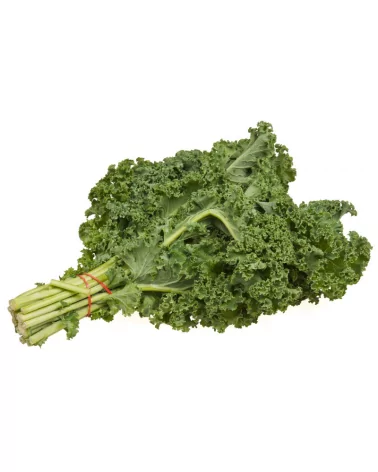 Cavolo Kale