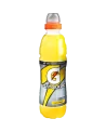 Gatorade Energy Limone 050 Pet