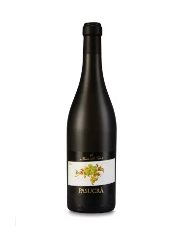 Forteto Luja Piemonte Moscato Secco Pasucra' Doc 22 (Vino Bianco)