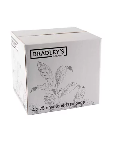 Infuso Menta Piperita Bio Gr 1,5 Bradley's Pz 100