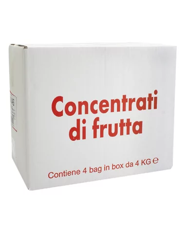 Succo Concentrato Ananas B.box Kg 4