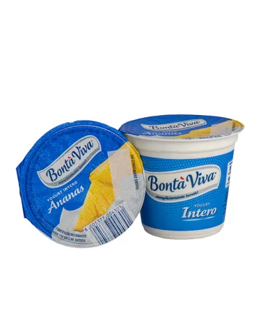 Yogurt Intero Ananas Bonta Viva Gr 125