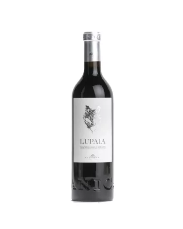 Castorani Lupaia Montepulciano D'abruzzo Doc 18 (Vino Rosso)