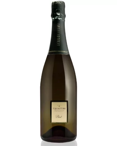 Ferghettina Franciacorta Brut Docg (Spumante)