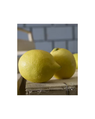 Limoni