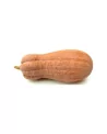 Zucca Violina Butternut