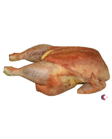 Gallina Busto Pesante Congelato Kg 3,6