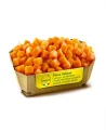 Zucca A Cubi 100%ita Orogel Kg 1