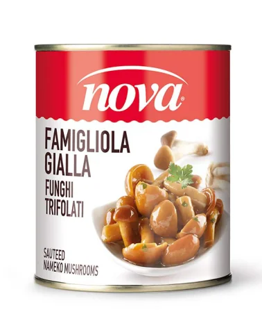 Funghi Chiodini Famig.gialla Trif Nova Gr 780