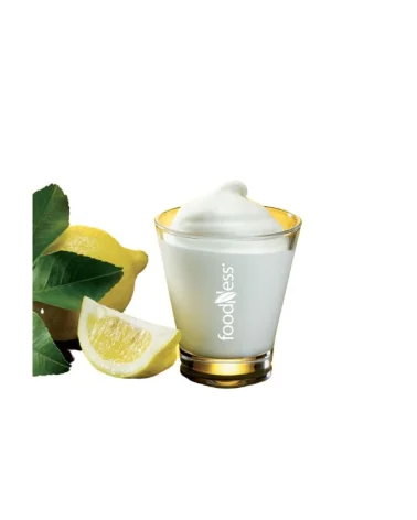 Prep.sorbetto Limone Senza Glutine S-l Foodness Kg 1