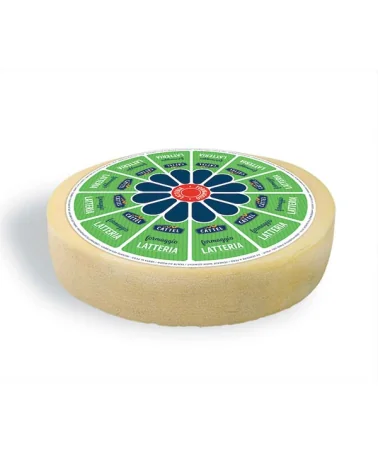 Formaggio Latteria Treviso Forma Kg 6