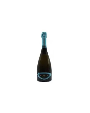 Plozza Franciacorta Brut Docg Magnum (Spumante)