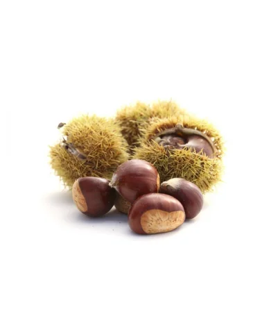 Castagne