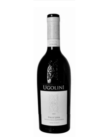 Ugolini Recioto Della Valpolicella Valle Lena Lt 0,5 Docg 19 (Vino da Dessert)