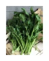 Cima Di Rapa Extra