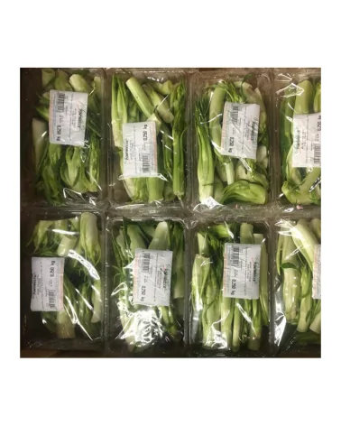 Puntarelle Intere 250 Gr