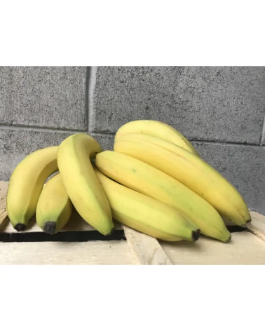 Banane