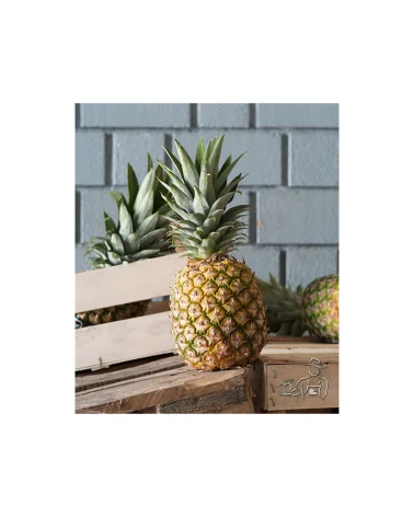 Ananas