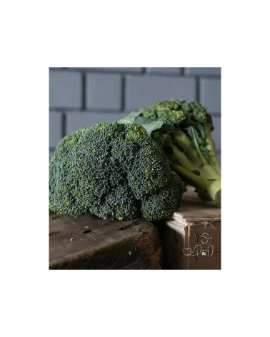 Broccoletti