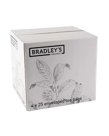 Infuso Menta Piperita Bio Gr 1,5 Bradley's Pz 100