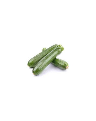 Zucchine Medie