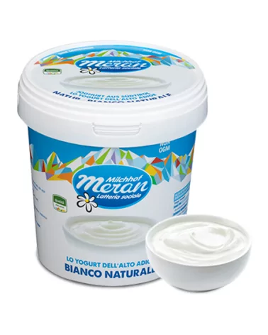 F YOGURT FRAGOLA 1 KG MERANO (3)