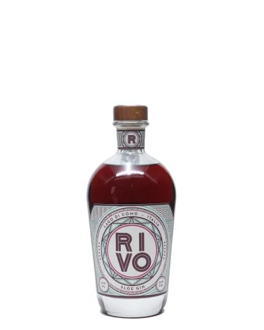 Gin Sloe Rivogin Lt. 0,50 (Distillato)