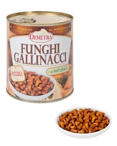 Funghi Gallinacci Piccoli Nat Demetra Gr 800