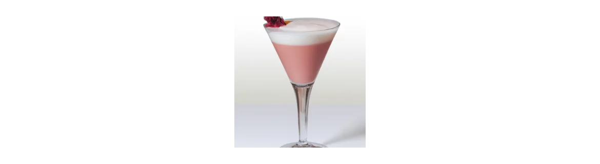COCKTAIL - ROSA
